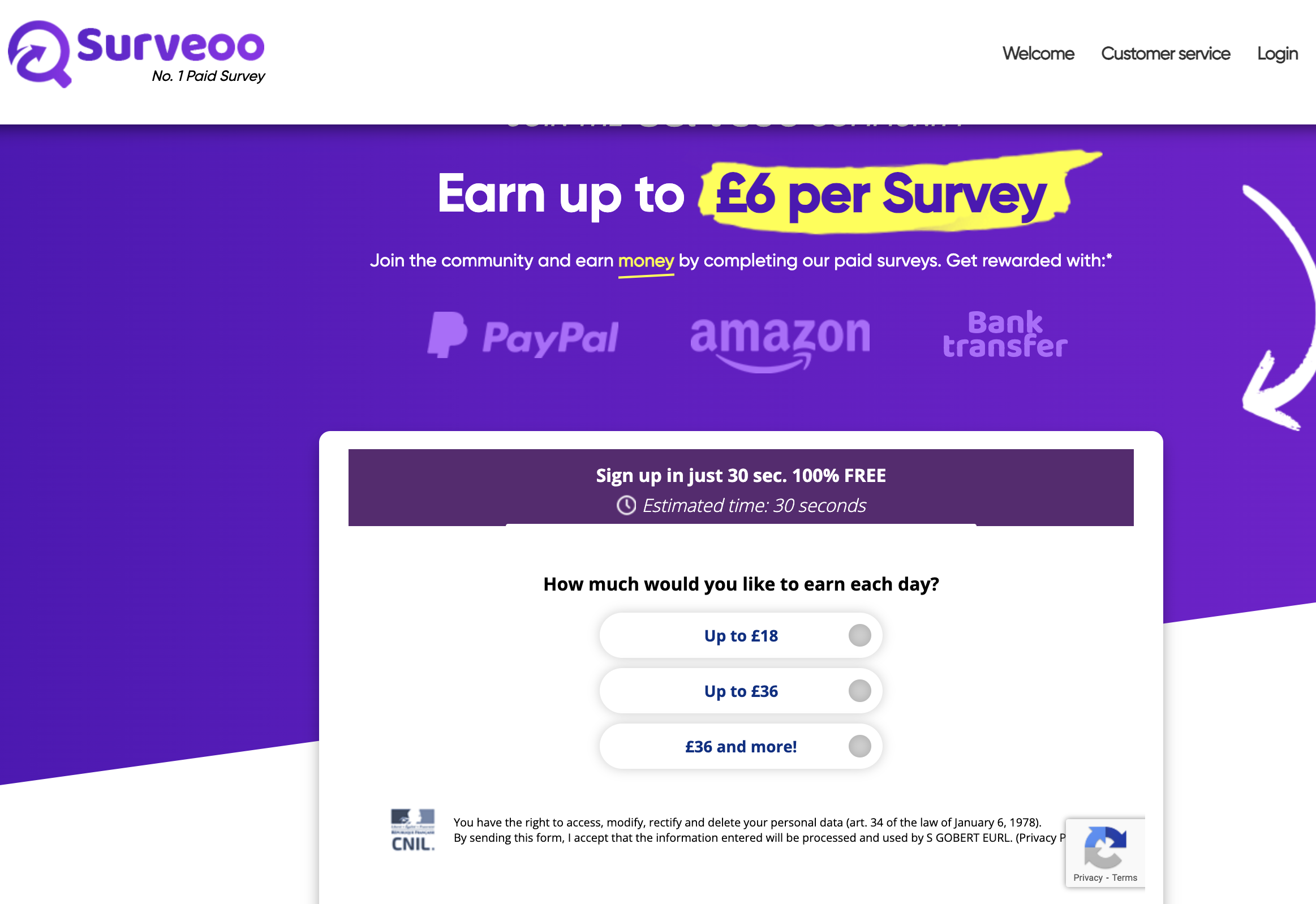 Surveoo Review